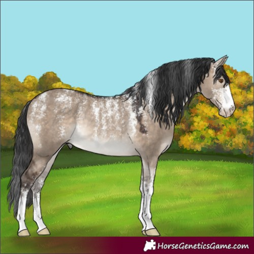 Horse Color:Powder White Brown Dun Rabicano 