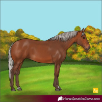 Horse Color:Silver Brown 