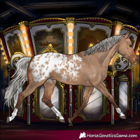 Horse Color:Silver Brown Dun Blanket 
