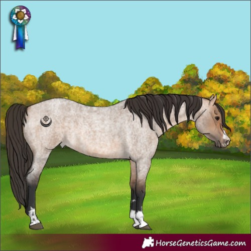 Horse Color:Bay Roan Dun and Bay Roan Dun