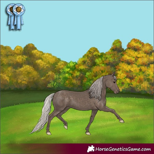 Horse Color:Silver Black 