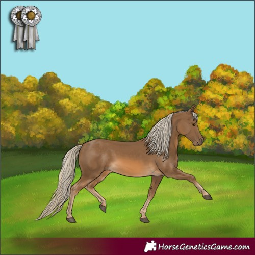 Horse Color:Chocolate Palomino 