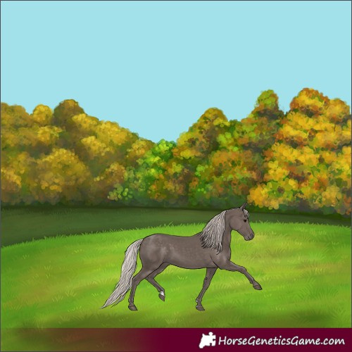 Horse Color:Silver Black 