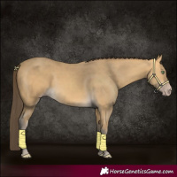 Horse Color:Amber Cream Champagne 