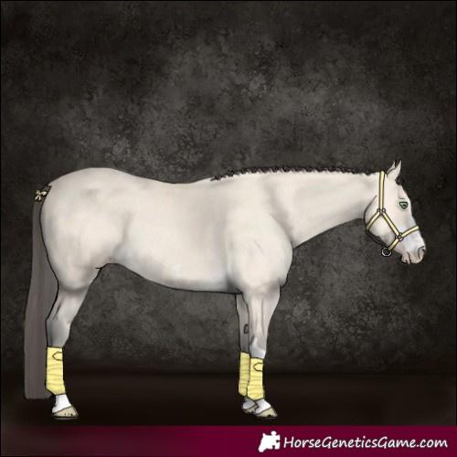 Horse Color:Amber Cream Champagne