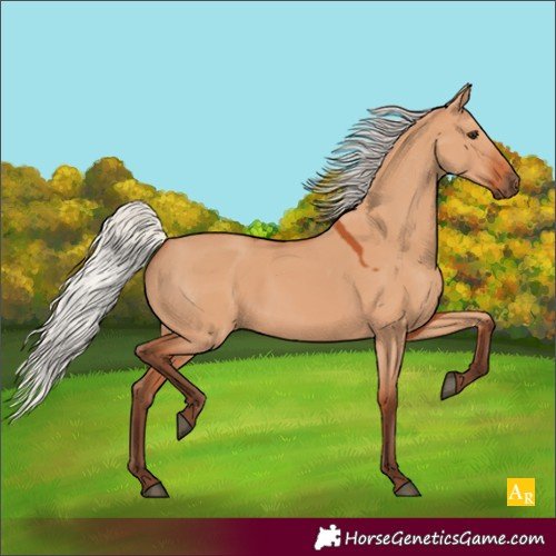 Horse Color:Silver Bay Dun 