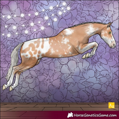 Horse Color:Silver Bay Pearl Sabino Appaloosa 