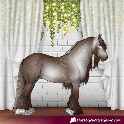 Horse Color:Gray Chestnut