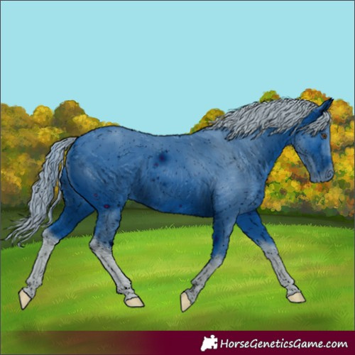 Horse Color:ERROR: UNKNOWN ANOMALY