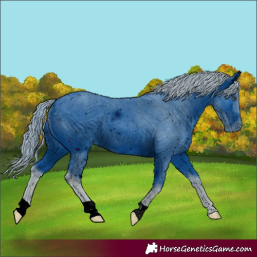 Horse Color:ERROR: UNKNOWN ANOMALY