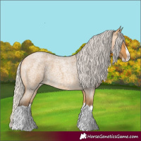 Horse Color:Silver Buckskin Roan Splash
