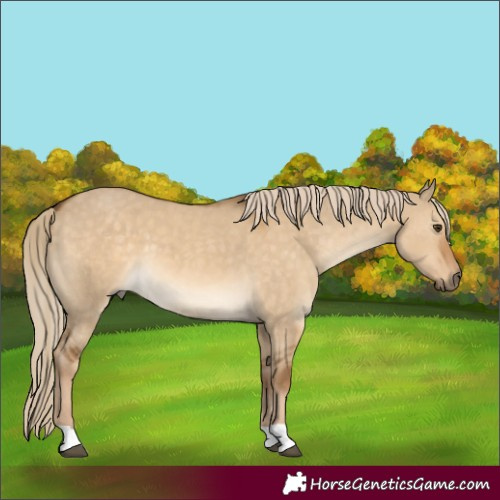Horse Color:Chocolate Palomino Dun