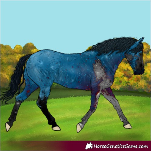 Horse Color:ERROR: UNKNOWN ANOMALY