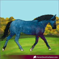Horse Color:ERROR: UNKNOWN ANOMALY