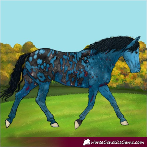 Horse Color:ERROR: UNKNOWN ANOMALY