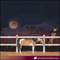 Horse Color:Buckskin Tobiano 