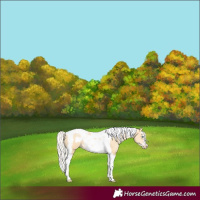 Horse Color:Silver Buckskin Pearl Splash Tobiano Frame 