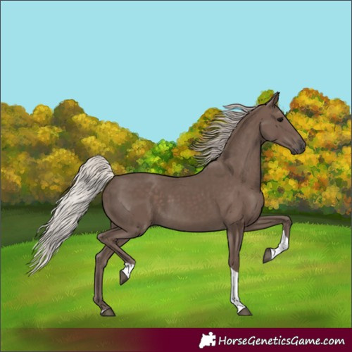 Horse Color:Silver Black Tobiano