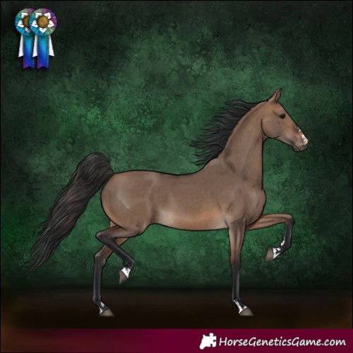 Horse Color:Brown Dun