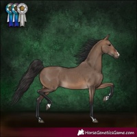 Horse Color:Brown Dun