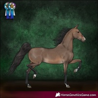 Horse Color:Brown Dun 