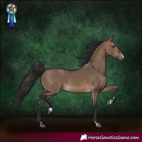 Horse Color:Brown Dun
