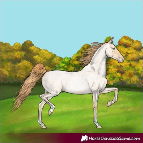 Horse Color:Buckskin Roan Pearl