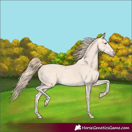 Horse Color:Perlino 