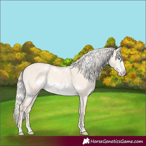Horse Color:White Spotted Cremello Dun Frame Rabicano