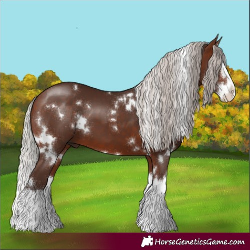 Horse Color:White Spotted Silver Brown Splash