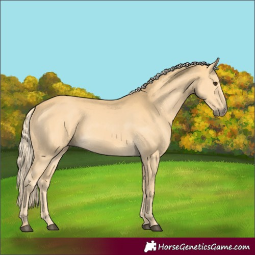 Horse Color:Palomino 