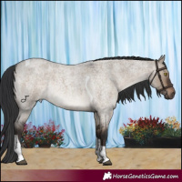 Horse Color:Brown Roan Dun Tobiano Rabicano 