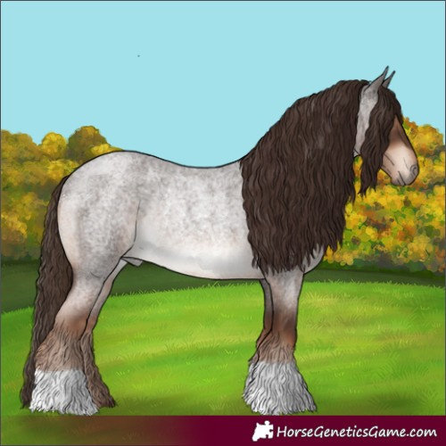Horse Color:Liver Red Roan Rabicano 