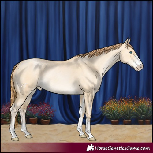 Horse Color:Buckskin Pearl Dun Sabino