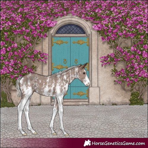 Horse Color:Silver Black Sabino
