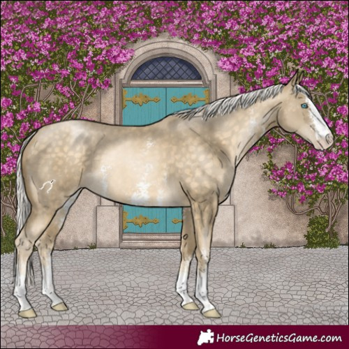 Horse Color:Silver Buckskin Pearl Sabino Rabicano 