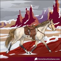 Horse Color:Buckskin Roan Dun Varnish 