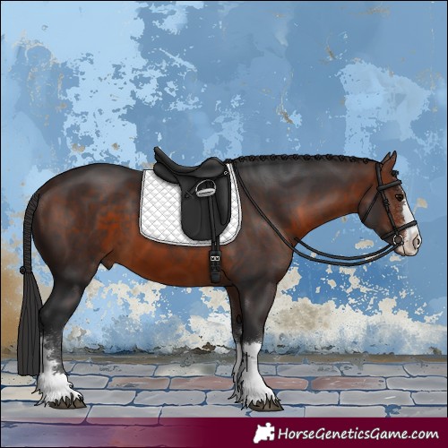 Horse Color:Brown 
