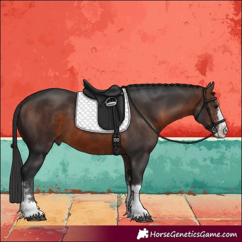 Horse Color:Brown 