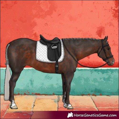 Horse Color:Silver Brown 