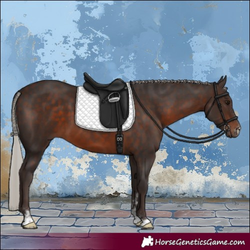 Horse Color:Silver Brown 