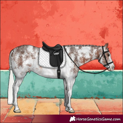 Horse Color:Silver Brown Sabino 