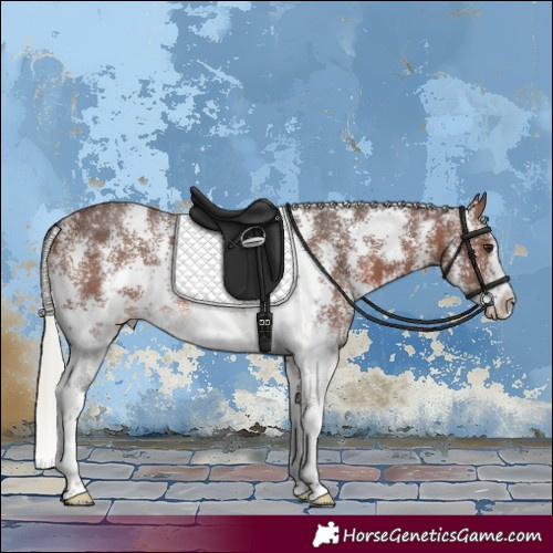 Horse Color:Silver Brown Sabino 