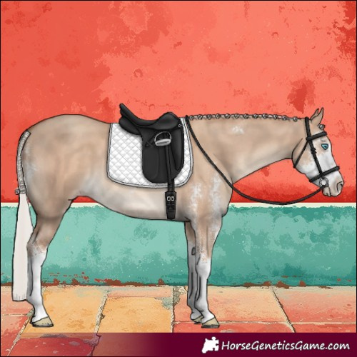 Horse Color:Silver Classic Champagne Dun Sabino 