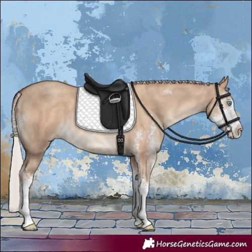 Horse Color:Silver Classic Champagne Dun Sabino 