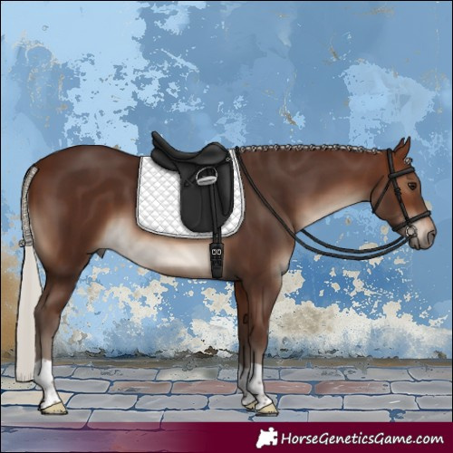 Horse Color:Silver Brown 