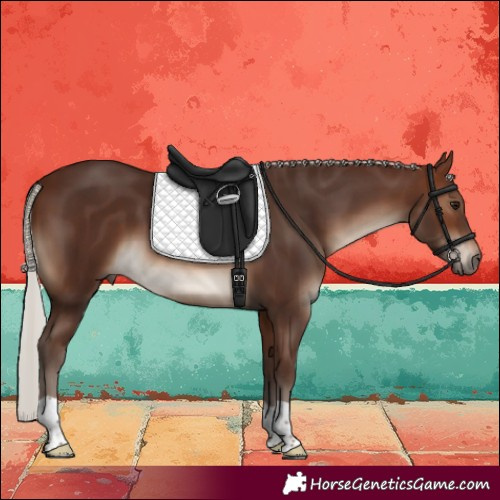 Horse Color:Silver Brown 