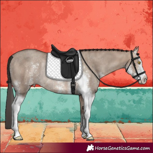 Horse Color:Sable Champagne Dun Sabino Rabicano 