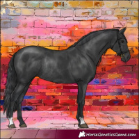 Horse Color:Black Rabicano 