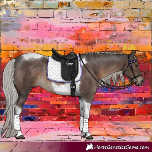 Horse Color:Silver Black Tobiano Rabicano 